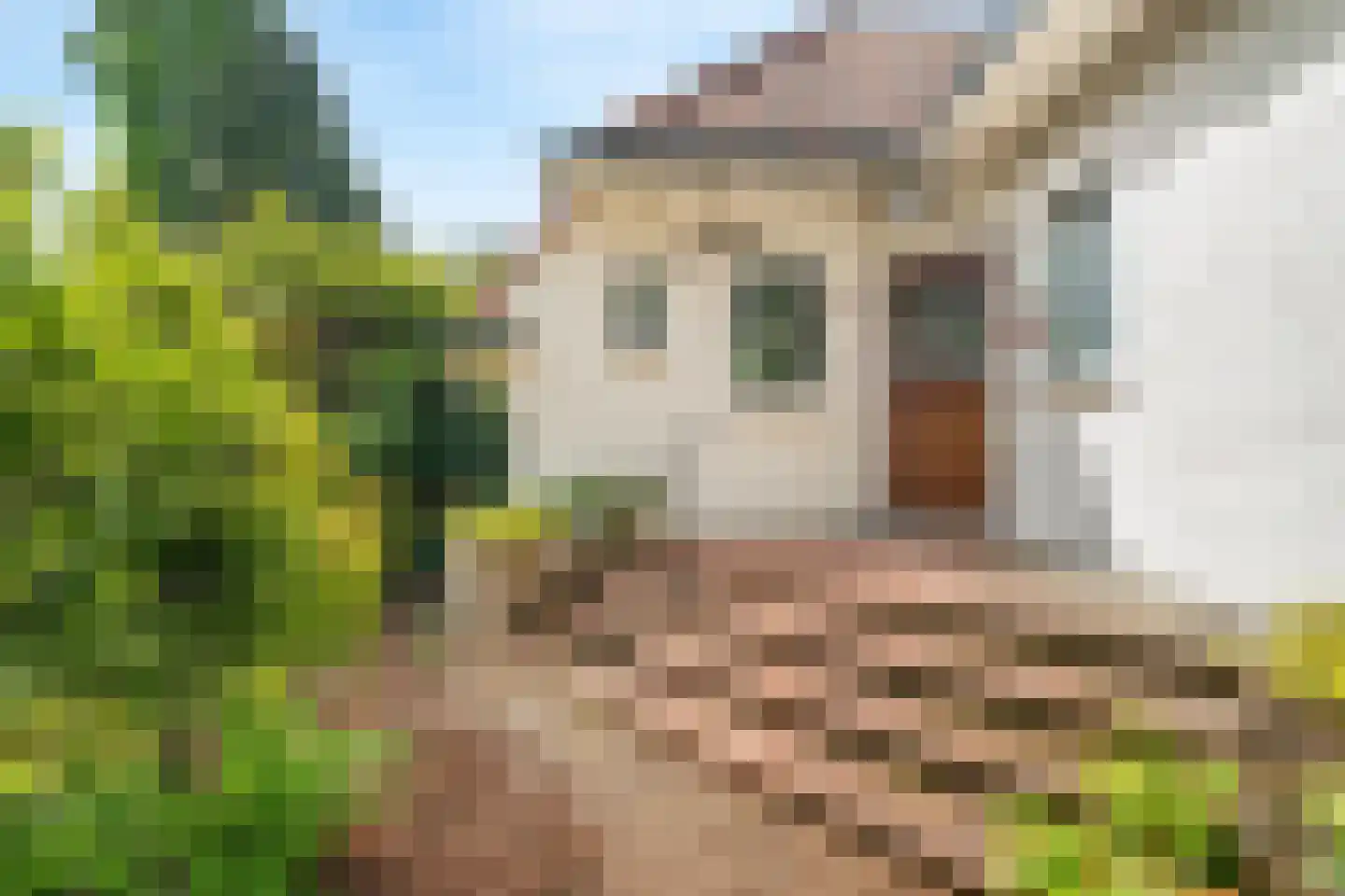 de Genestetlaan 7 Baarn thumbnail 4