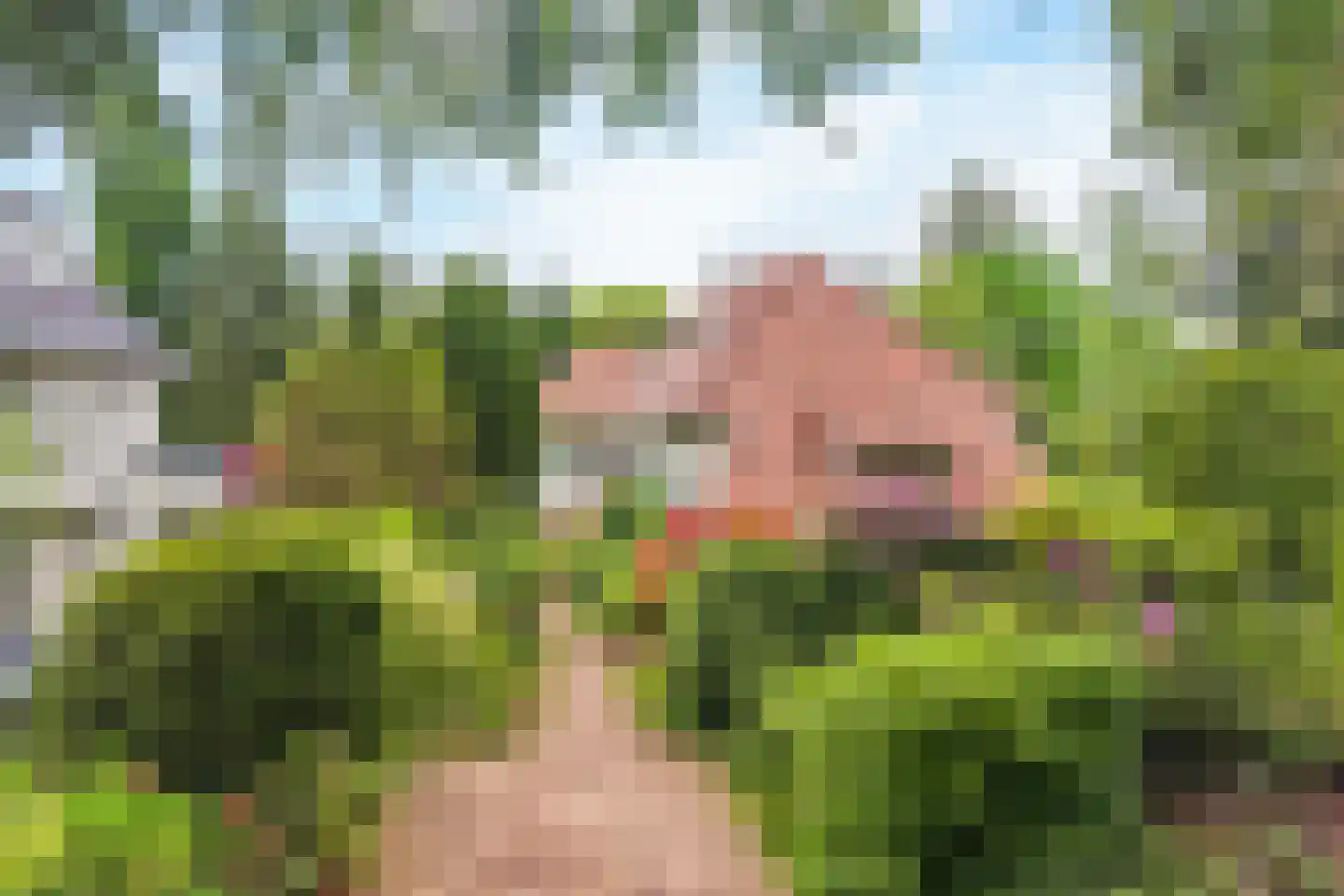 de Genestetlaan 7 Baarn thumbnail 41