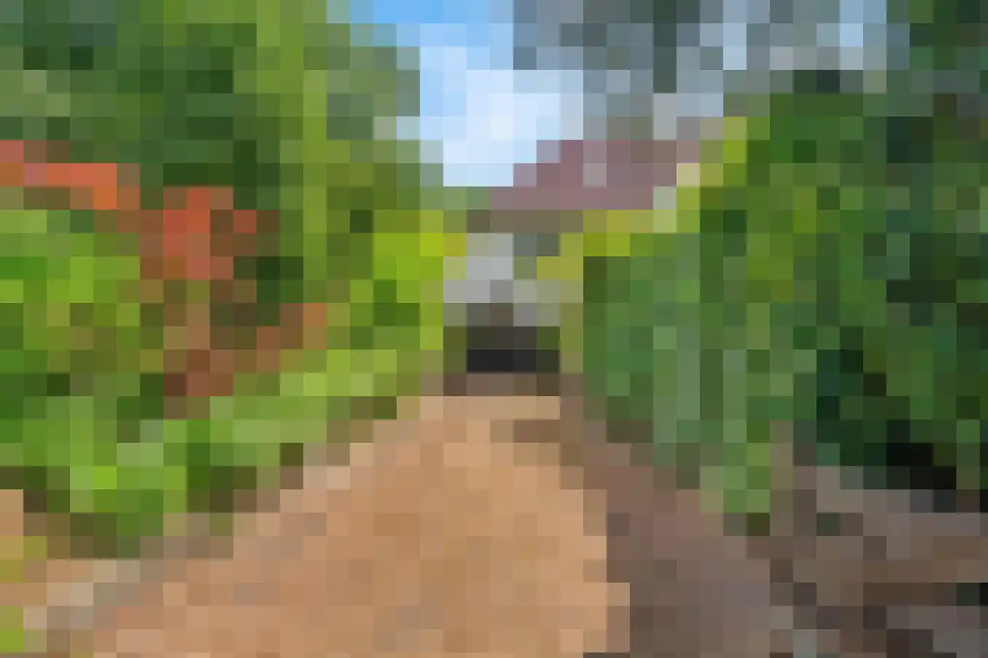 de Genestetlaan 7 Baarn thumbnail 46