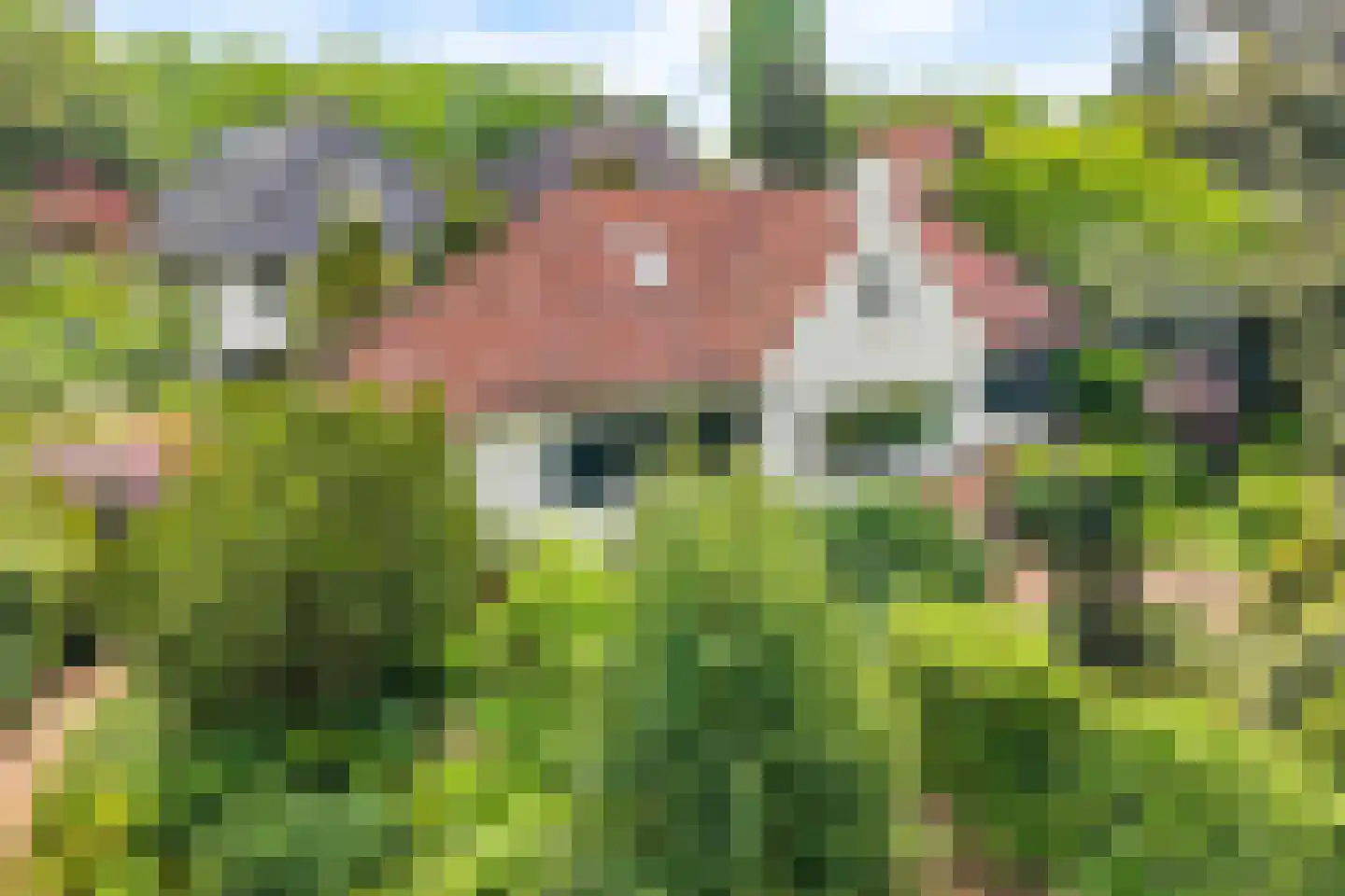de Genestetlaan 7 Baarn thumbnail 47