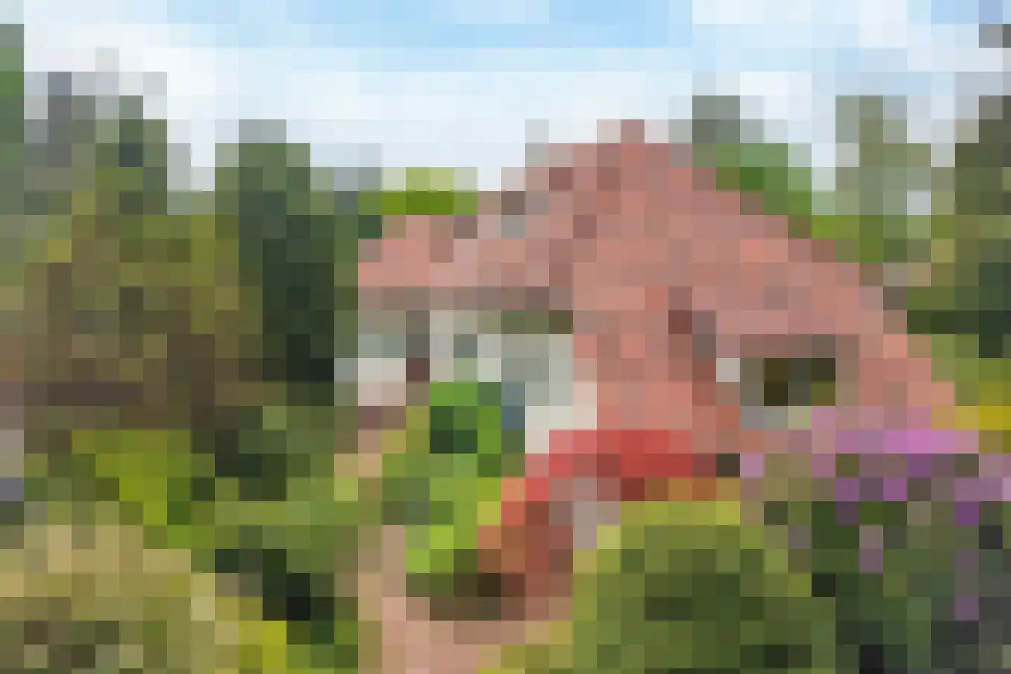 de Genestetlaan 7 Baarn thumbnail 48