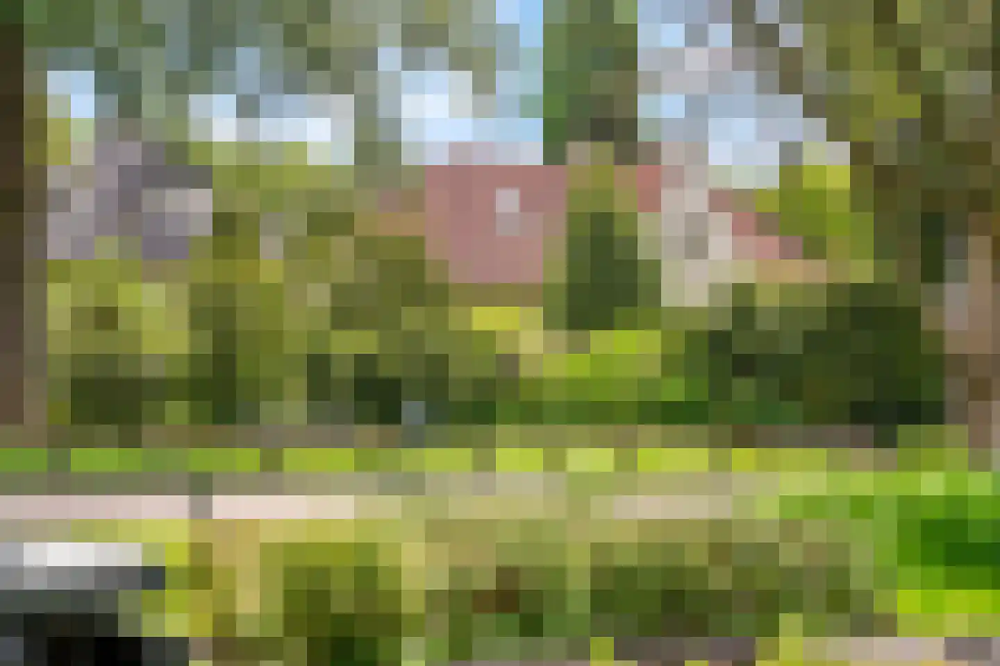 de Genestetlaan 7 Baarn thumbnail 52