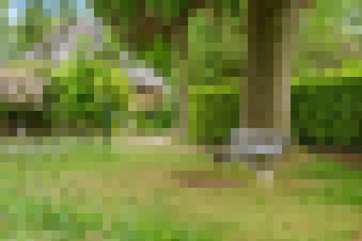 de Genestetlaan 7 Baarn thumbnail 54