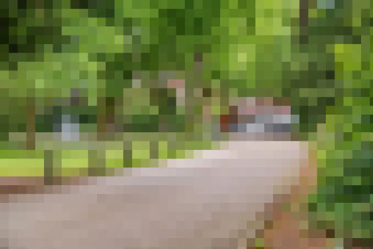 de Genestetlaan 7 Baarn thumbnail 57