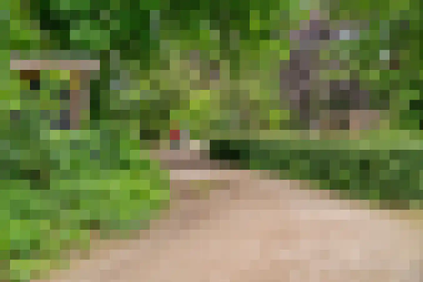 de Genestetlaan 7 Baarn thumbnail 58