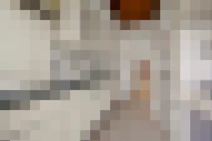 De Genestetlaan 71 Den Haag thumbnail 18