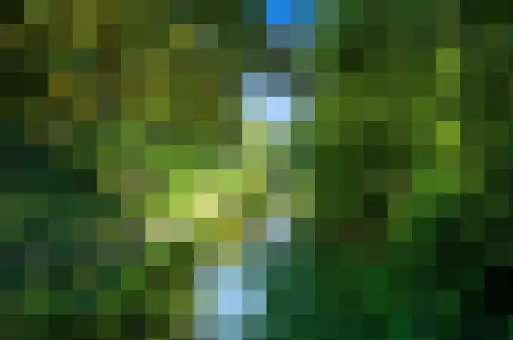 De Genestetlaan 71 Den Haag thumbnail 33