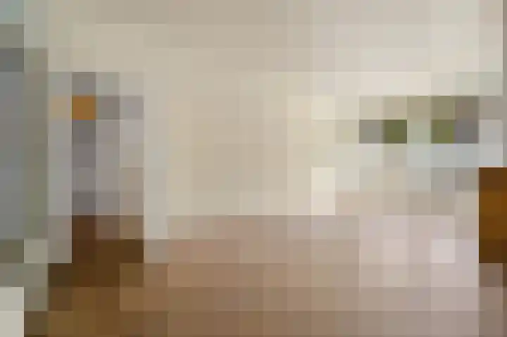De Genestetlaan 71 Den Haag thumbnail 8