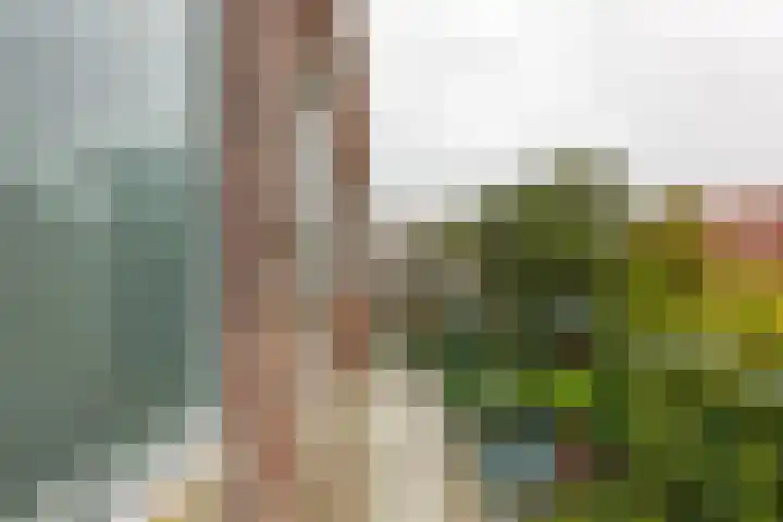 De Genestetlaan 79 Den Haag thumbnail 16