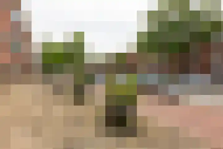 De Genestetlaan 79 Den Haag thumbnail 26
