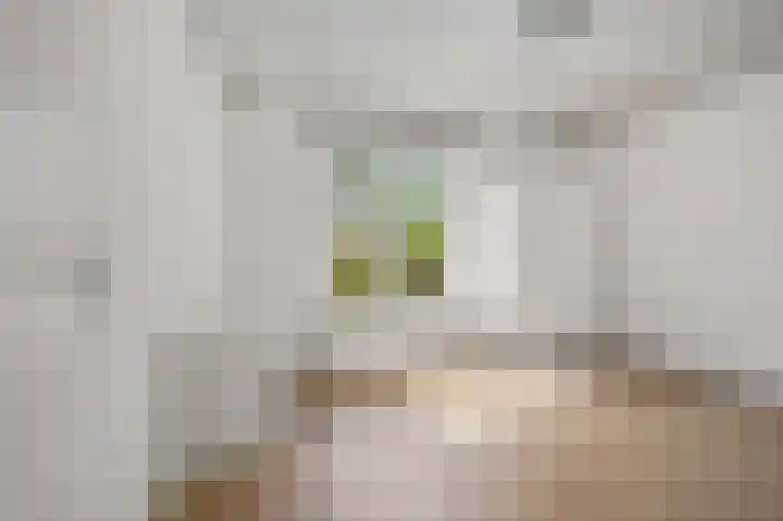 De Genestetlaan 80 Den Haag thumbnail 23