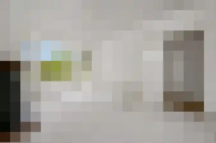 De Genestetlaan 80 Den Haag thumbnail 4