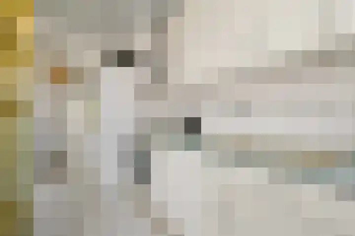 De Genestetlaan 80 Den Haag thumbnail 8