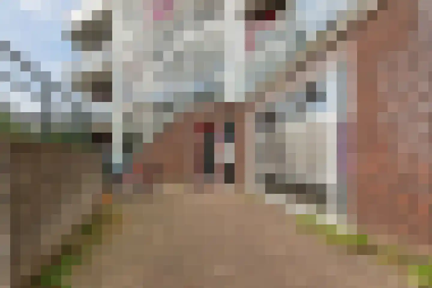 de Génestetlaan 81 Nijmegen thumbnail 20