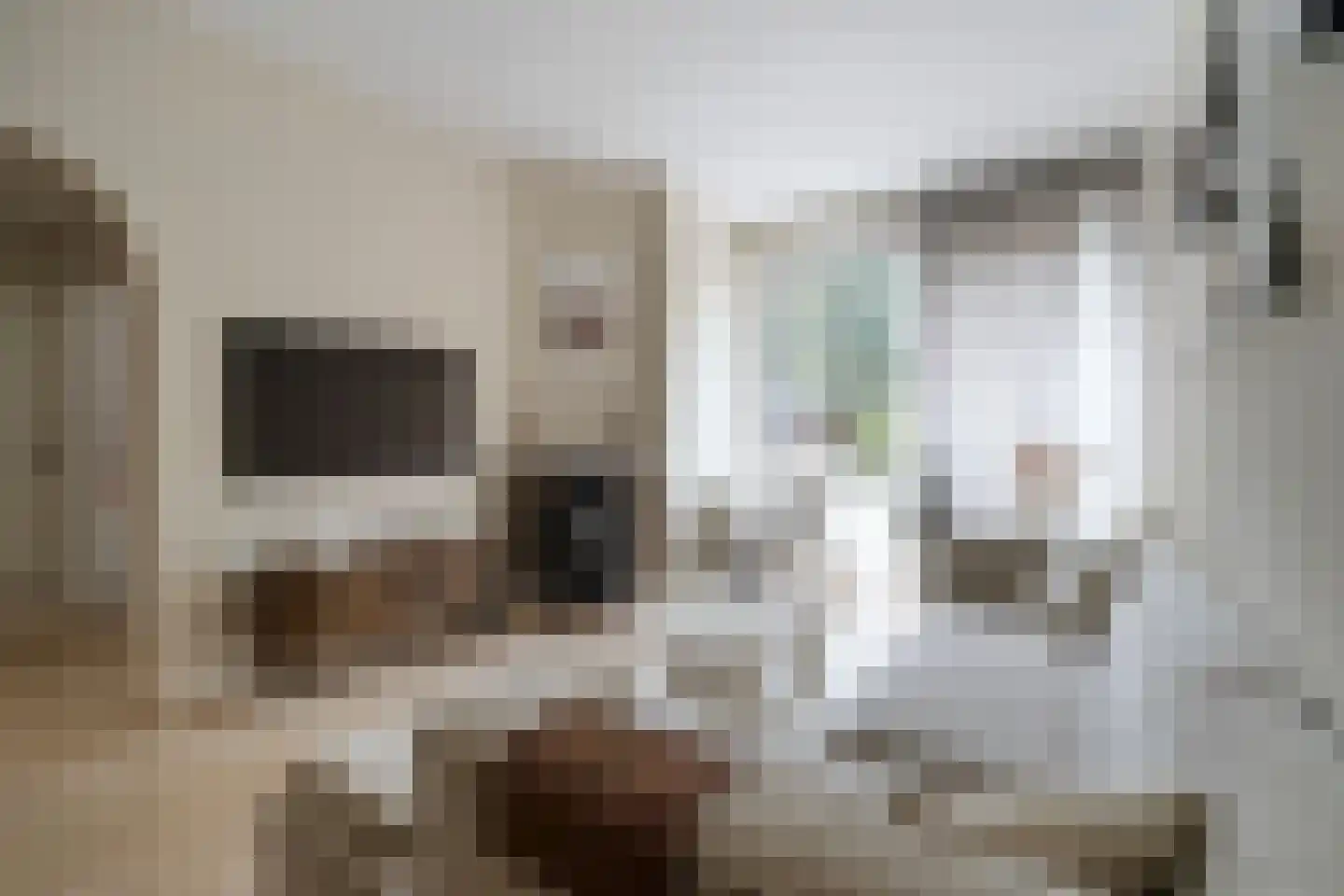 De Genestetlaan 85 Den Haag thumbnail 8