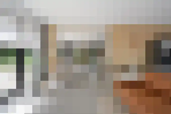 De Genestetlaan 9 Driehuis NH thumbnail 10
