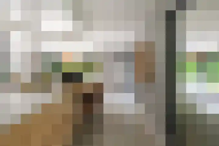 De Genestetlaan 9 Driehuis NH thumbnail 17