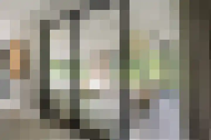 De Genestetlaan 9 Driehuis NH thumbnail 18
