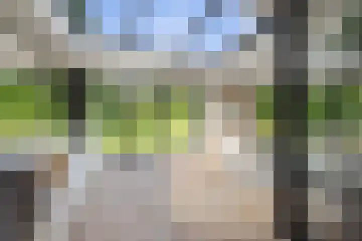 De Genestetlaan 9 Driehuis NH thumbnail 25