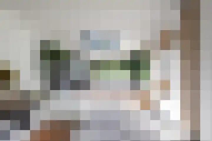 De Genestetlaan 9 Driehuis NH thumbnail 26