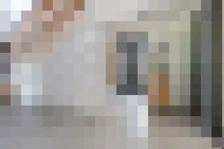 De Genestetlaan 9 Driehuis NH thumbnail 31