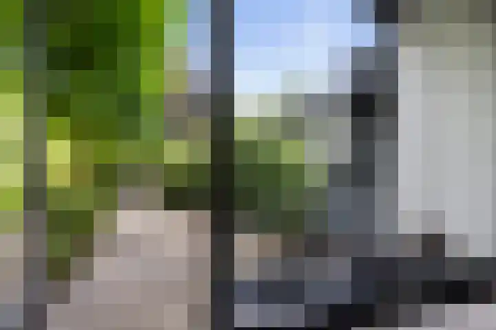 De Genestetlaan 9 Driehuis NH thumbnail 37