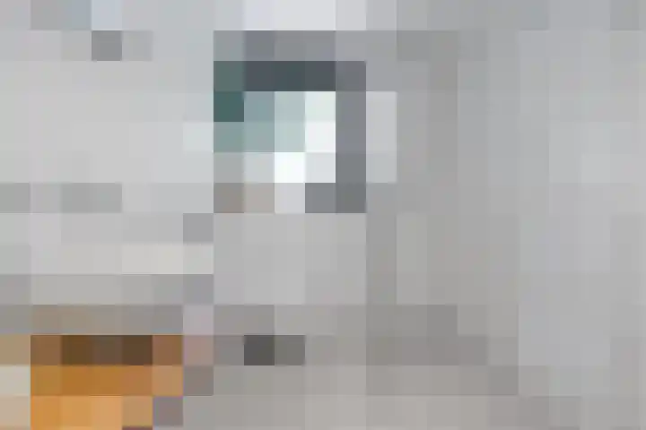 De Genestetlaan 9 Driehuis NH thumbnail 39