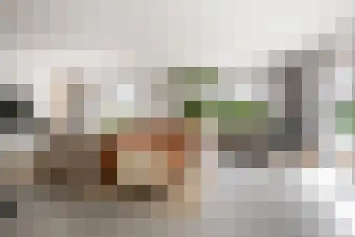 De Genestetlaan 9 Driehuis NH thumbnail 4