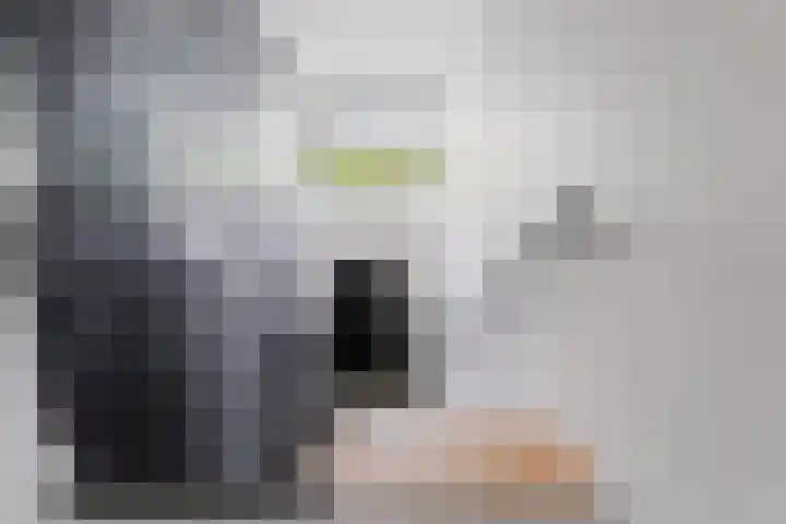 De Genestetlaan 9 Driehuis NH thumbnail 42