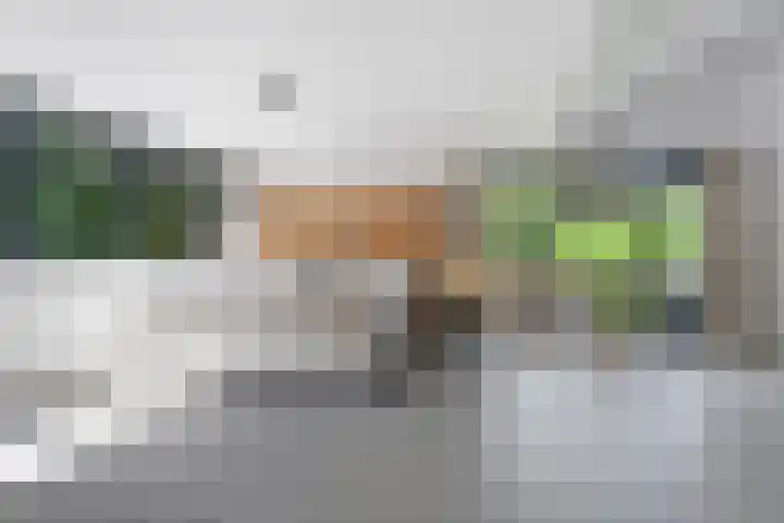 De Genestetlaan 9 Driehuis NH thumbnail 45