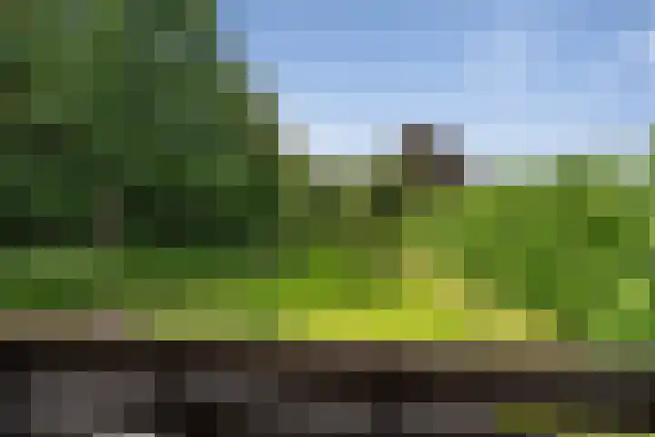 De Genestetlaan 9 Driehuis NH thumbnail 46