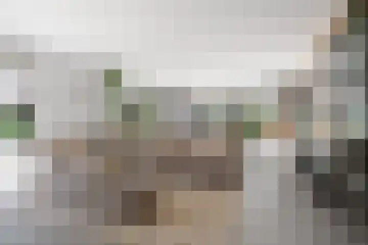 De Genestetlaan 9 Driehuis NH thumbnail 5