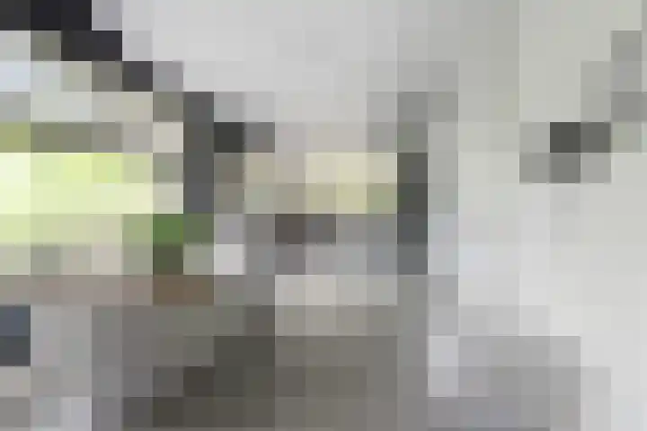 De Genestetlaan 9 Driehuis NH thumbnail 52