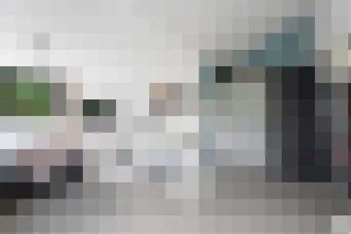 De Genestetlaan 9 Driehuis NH thumbnail 57