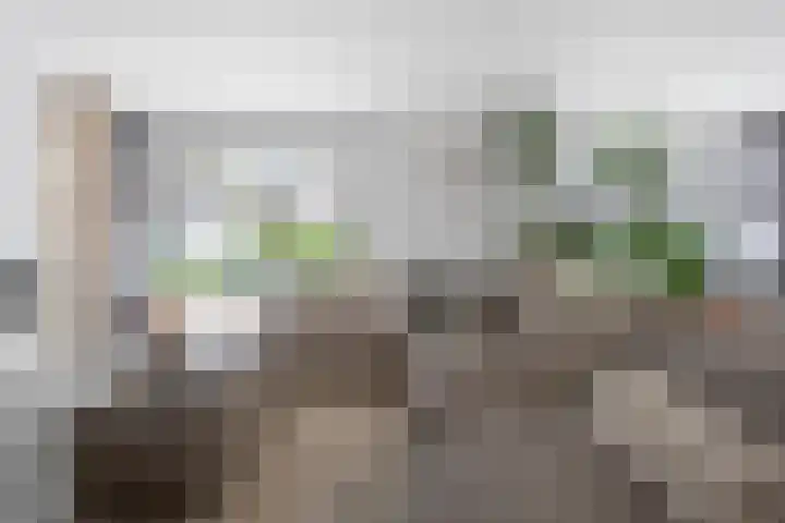 De Genestetlaan 9 Driehuis NH thumbnail 6
