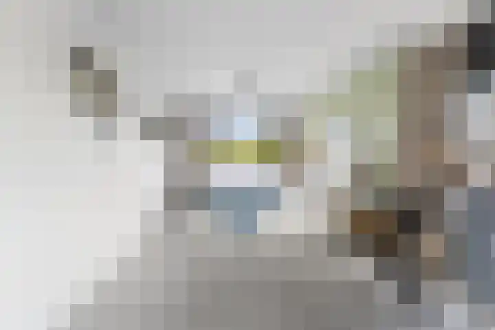 De Genestetlaan 9 Driehuis NH thumbnail 63