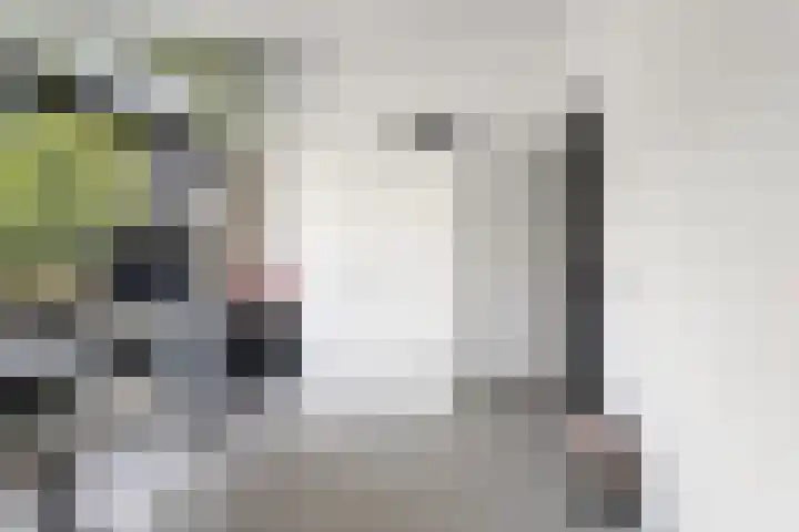 De Genestetlaan 9 Driehuis NH thumbnail 65
