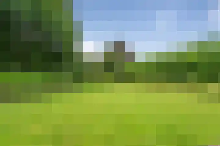 De Genestetlaan 9 Driehuis NH thumbnail 66