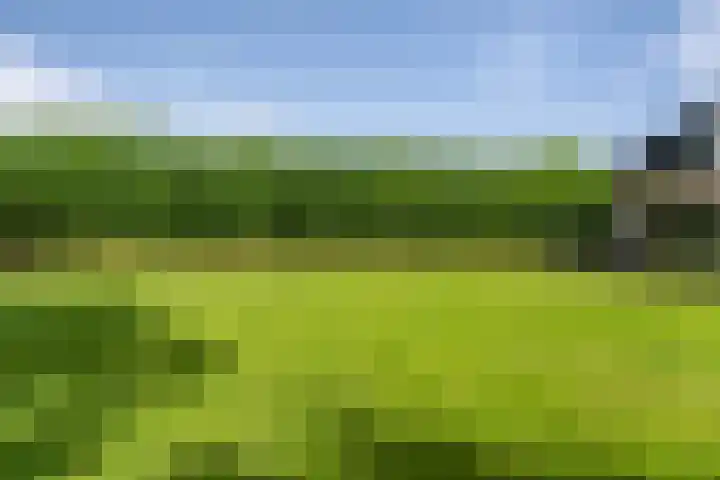 De Genestetlaan 9 Driehuis NH thumbnail 68