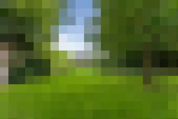 De Genestetlaan 9 Driehuis NH thumbnail 69