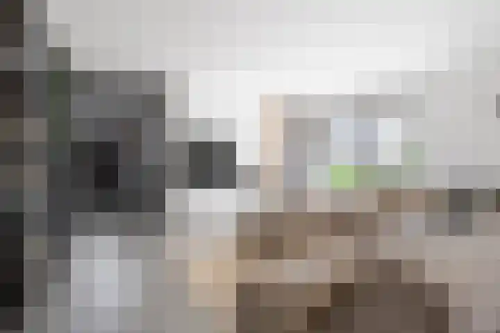 De Genestetlaan 9 Driehuis NH thumbnail 7
