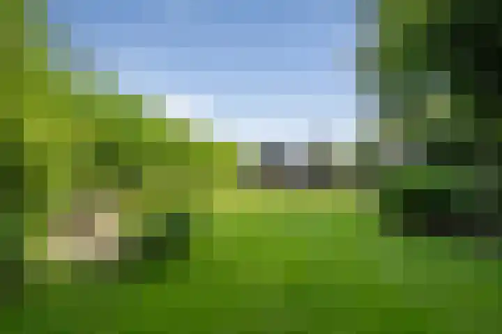 De Genestetlaan 9 Driehuis NH thumbnail 70
