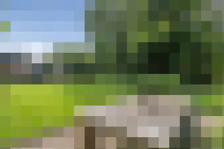 De Genestetlaan 9 Driehuis NH thumbnail 71