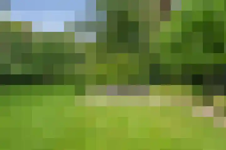 De Genestetlaan 9 Driehuis NH thumbnail 72
