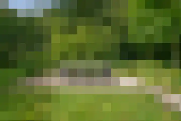 De Genestetlaan 9 Driehuis NH thumbnail 73
