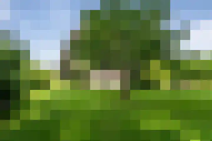 De Genestetlaan 9 Driehuis NH thumbnail 74