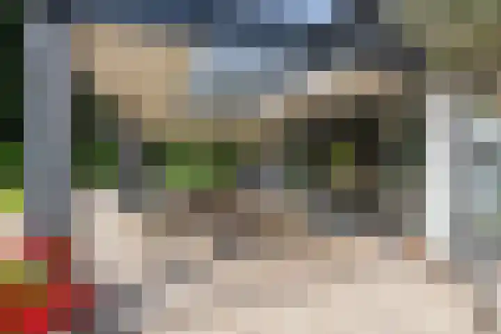 De Genestetlaan 9 Driehuis NH thumbnail 77