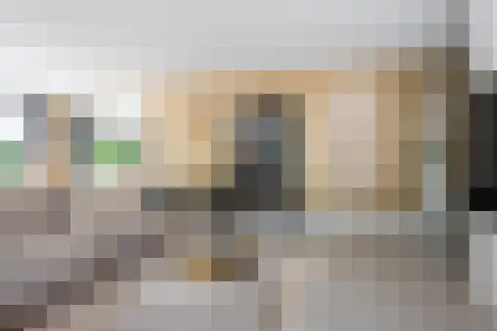 De Genestetlaan 9 Driehuis NH thumbnail 8
