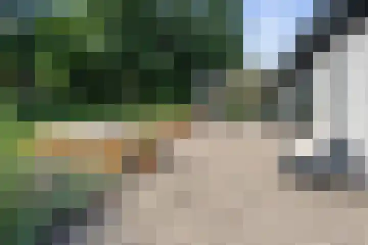 De Genestetlaan 9 Driehuis NH thumbnail 81