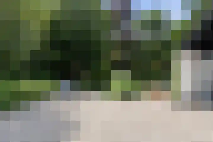 De Genestetlaan 9 Driehuis NH thumbnail 86